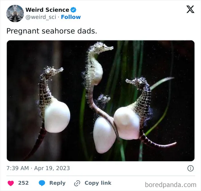 50 Weird Science Posts That Have Been Scientifically Proven To Be Interesting
