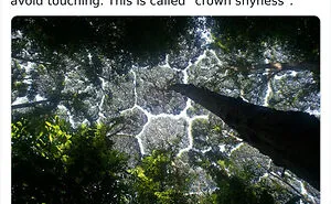50 Weird Science Posts That Have Been Scientifically Proven To Be Interesting