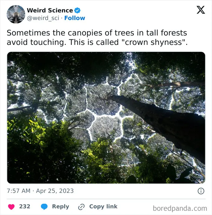 50 Weird Science Posts That Have Been Scientifically Proven To Be Interesting