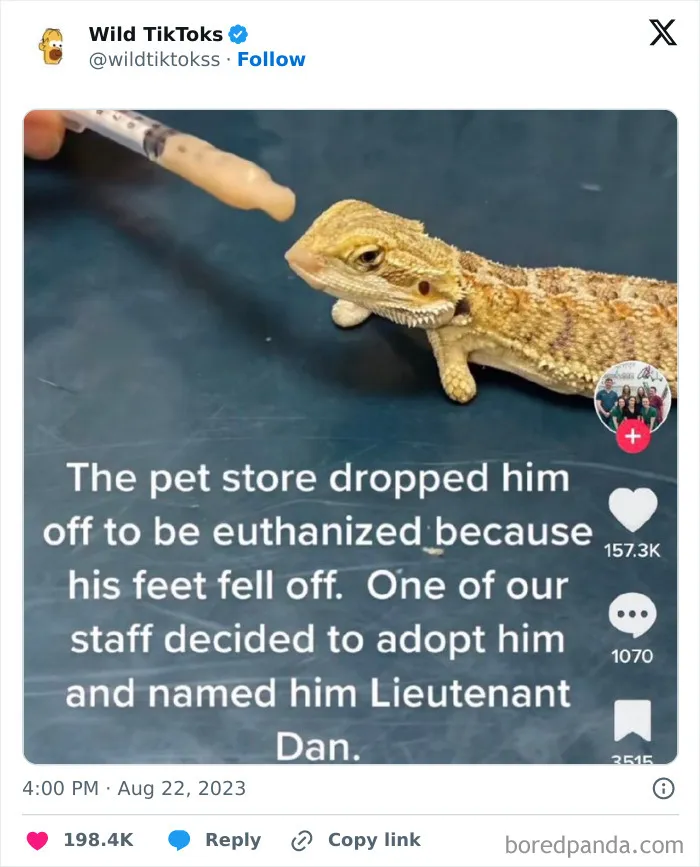 30 Wild, Funny, And Cringy TikTok Screenshots That Will Forever Exist Online (New Pics)