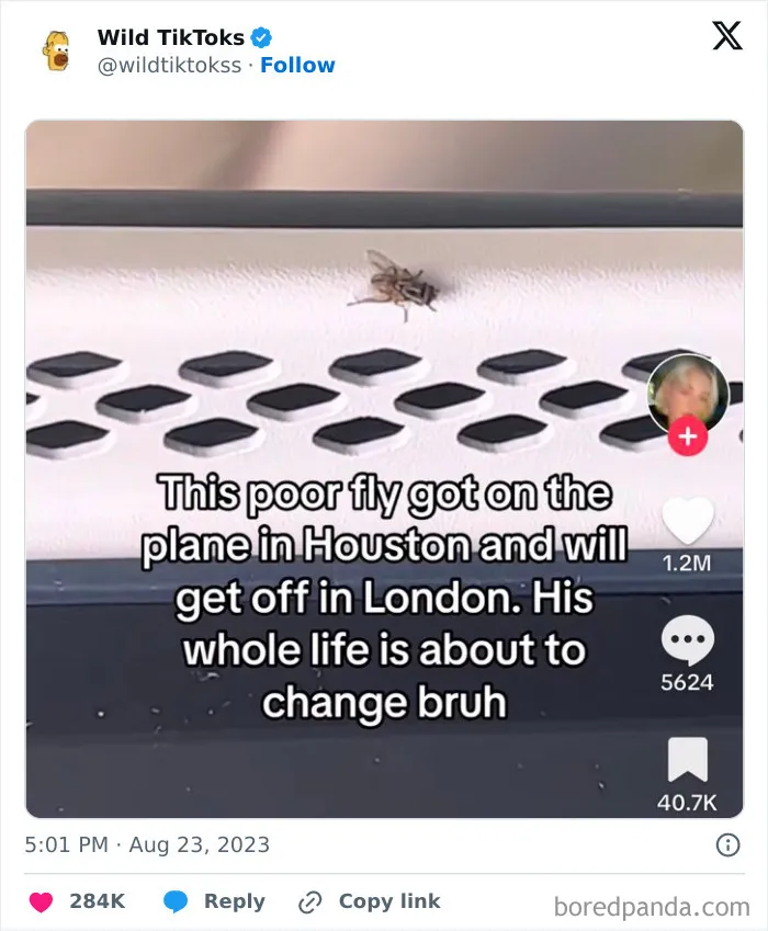 30 Wild, Funny, And Cringy TikTok Screenshots That Will Forever Exist Online (New Pics)