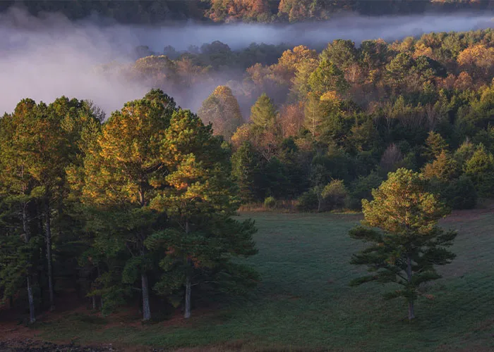 “Welcome To Pennsylvania, Here’s Your Flat Tire”: 50 Iconic Things That Define US States