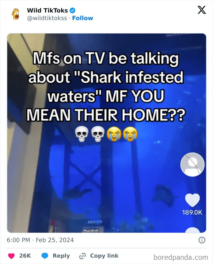 30 Wild, Funny, And Cringy TikTok Screenshots That Will Forever Exist Online (New Pics)