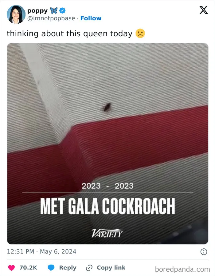 People React To The 2024 Met Gala With These 30 Hilarious And Savage Memes