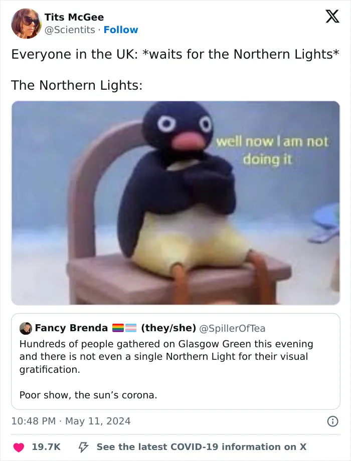 38 Of The Funniest Memes About Not Seeing The Northern Lights