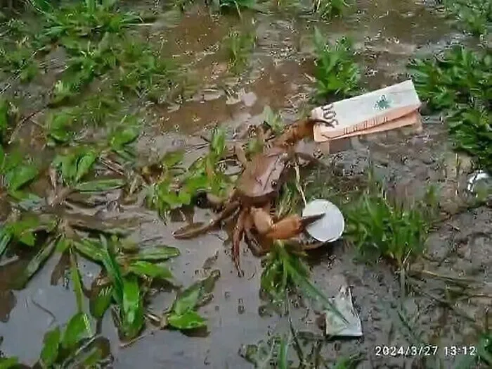 27 Imágenes muy difíciles de ignorar