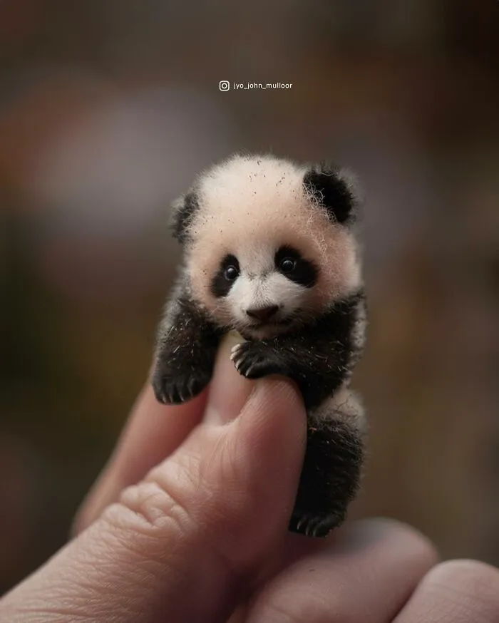 This Artist Creates Portraits Of Tiny Animals That Can Fit Into A Human's Palm (22 New Pics)