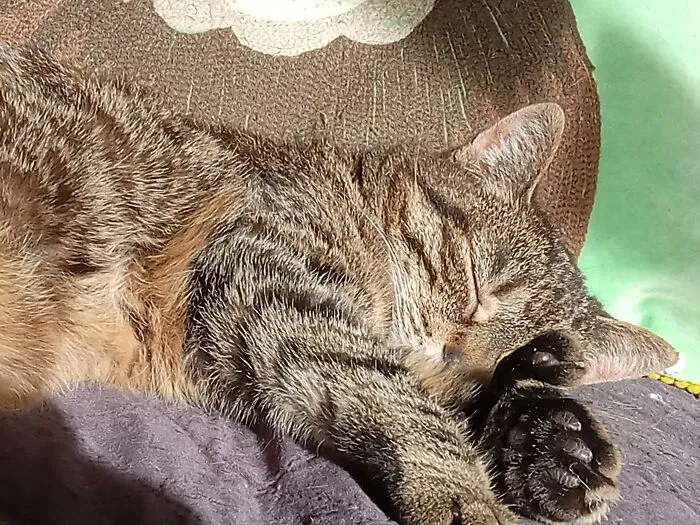 Myrtle - 21 Yrs Old, Had Extra Beans