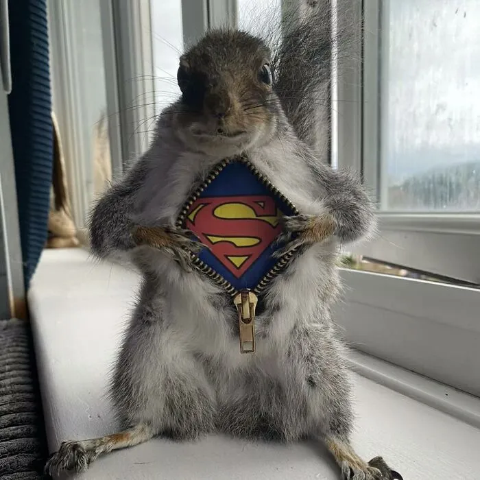 30 Taxidermy Fails From This IG Page That Are So Bad They’re Good
