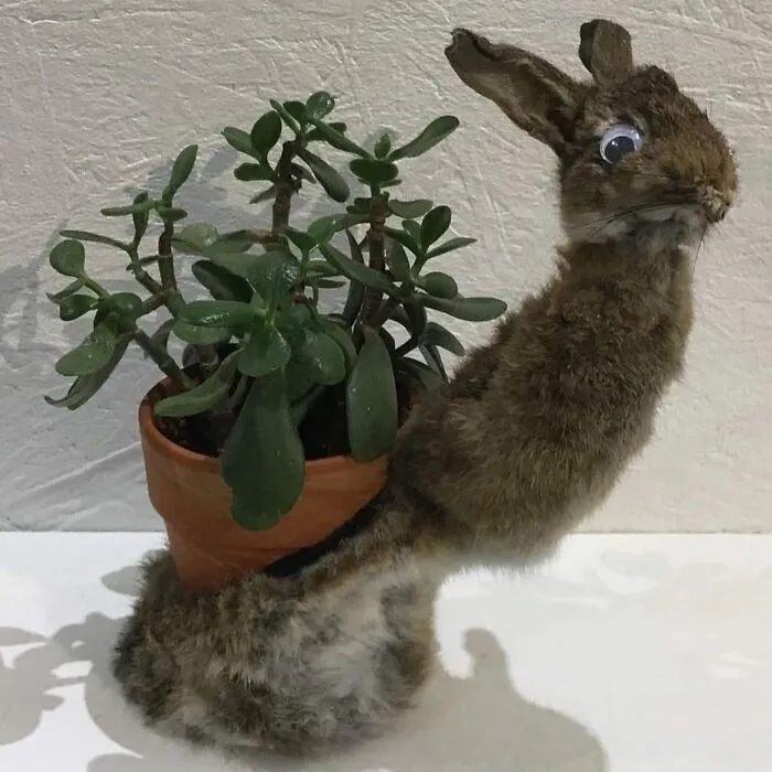 30 Taxidermy Fails From This IG Page That Are So Bad They’re Good