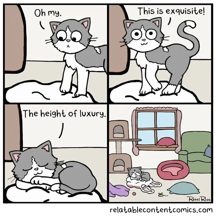 23 Funny And Relatable Comics About Relationships And Living With Cats, By This Artist (New Pics)