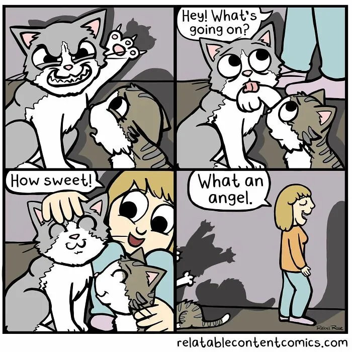 23 Funny And Relatable Comics About Relationships And Living With Cats, By This Artist (New Pics)