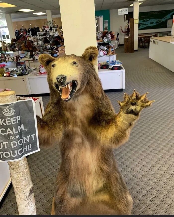 30 Taxidermy Fails From This IG Page That Are So Bad They’re Good