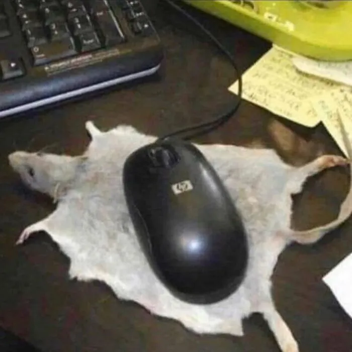 30 Taxidermy Fails From This IG Page That Are So Bad They’re Good