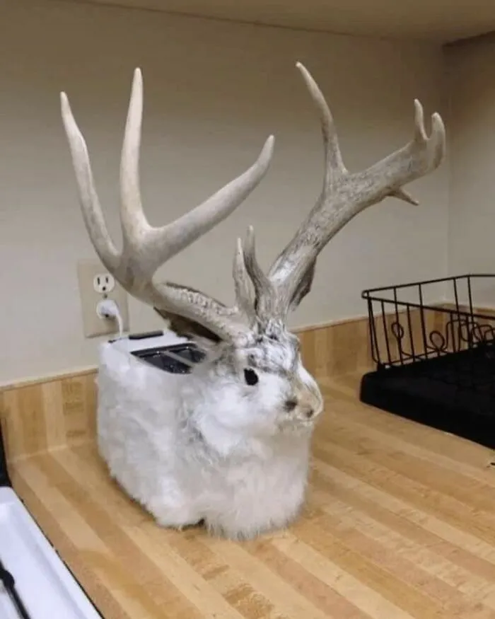 30 Taxidermy Fails From This IG Page That Are So Bad They’re Good