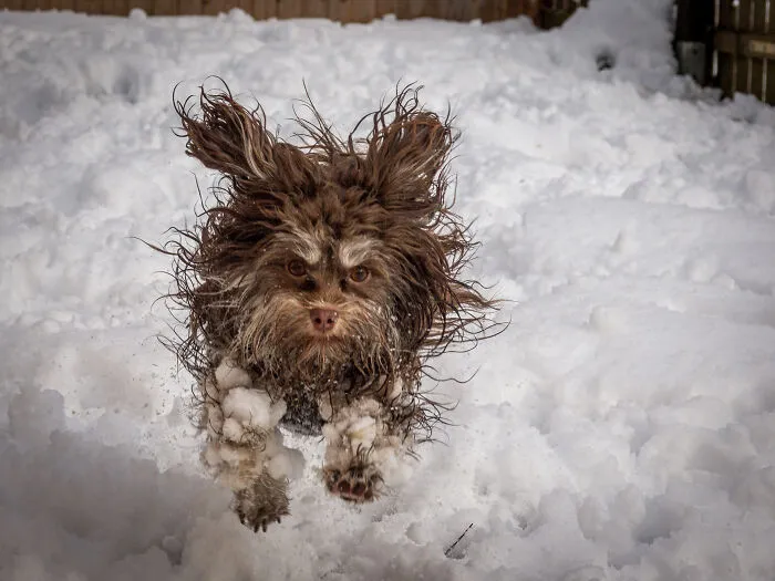 'It's Fu Cold' By Tammo Zelle