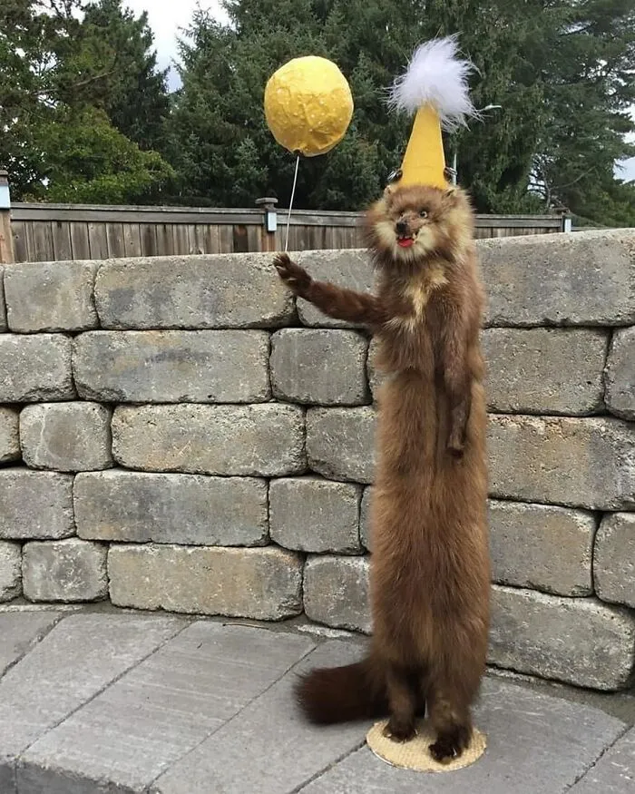 30 Taxidermy Fails From This IG Page That Are So Bad They’re Good