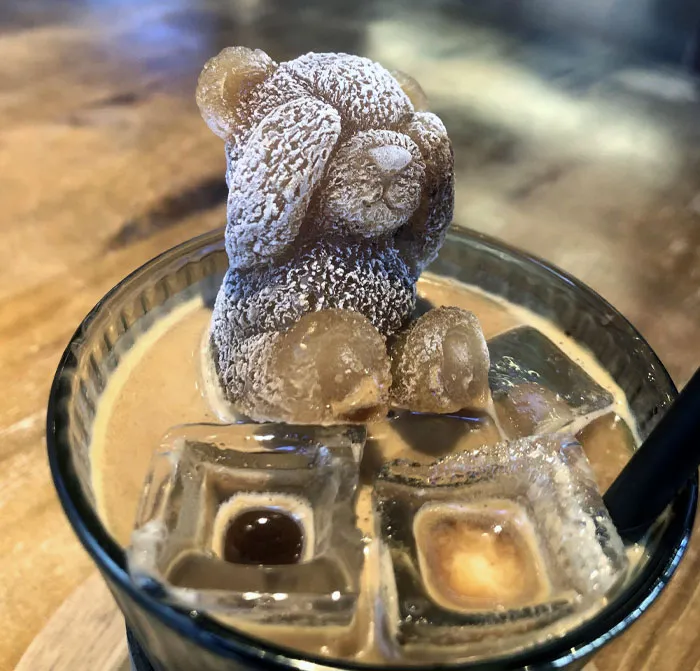 The Cafe I Went To Puts A Teddy Bear Espresso Ice Cube Into Their Iced Lattes