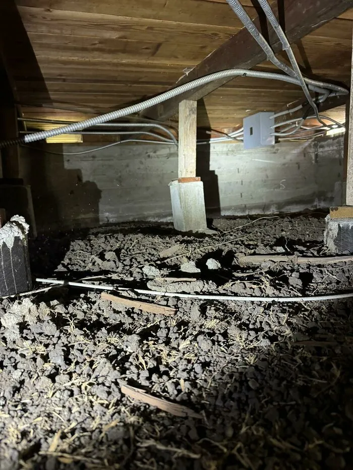30 Times Building Inspectors Uncovered Horrifying Things While On The Job (New Pics)