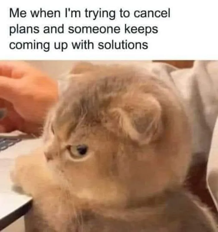 50 Memes To Send To Those Who Don't Really Like Other People