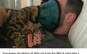 50 Hilarious Animal Memes To Leave You Cackling Like A Hyena