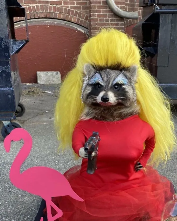 30 Taxidermy Fails From This IG Page That Are So Bad They’re Good