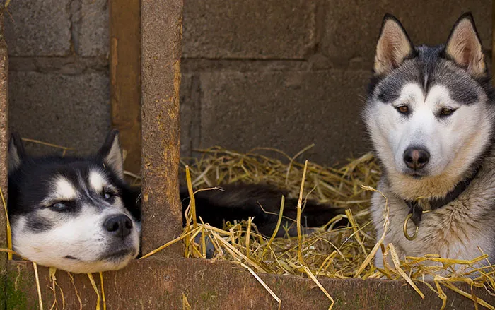 50 Curious “Today I Learned” Facts People Couldn’t Wait To Share (New Posts)