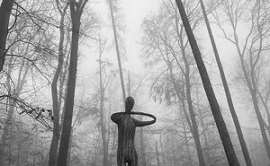 50 Of The Most Interesting And Bizarre Things People Have Found In The Forest (New Pics)