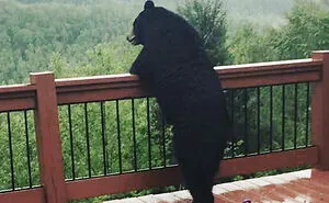 These People Had Heartwarming Wildlife Encounters And Had To Share Them Online (50 New Pics)