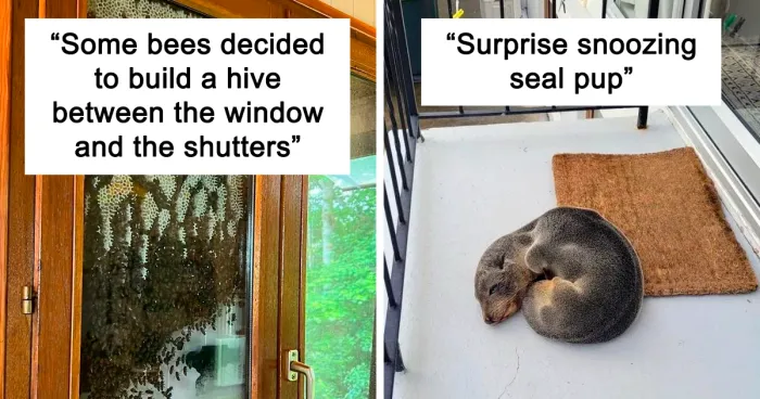 These People Had Heartwarming Wildlife Encounters And Had To Share Them Online (50 New Pics)