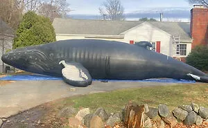 50 Times People Felt Pure Joy Living Next Door To Their Funny Neighbors (New Pics)