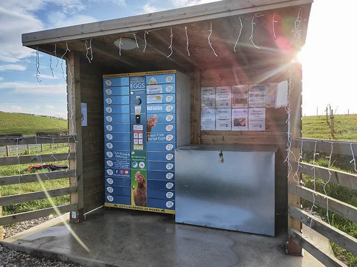 A Local Farm Sells Eggs At A 24/7 Vending Machine On Their Driveway