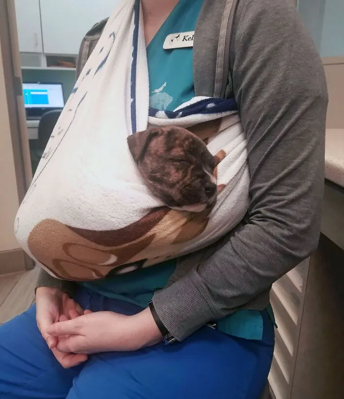She Was Screaming Her Lungs Out In ISO, So This Was Our Solution. She Fell Asleep In Minutes