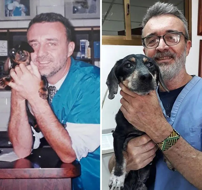 Veterinarian Caring For The Same Dog 15 Years Apart