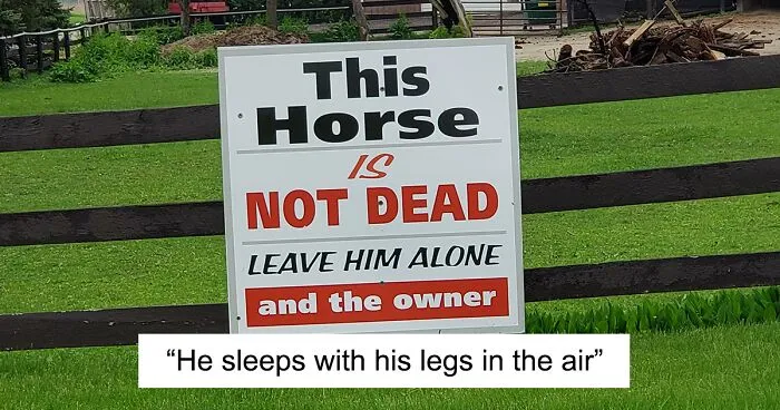 30 Funny Signs That Defy Logic And Common Sense, Posted In This Online Group