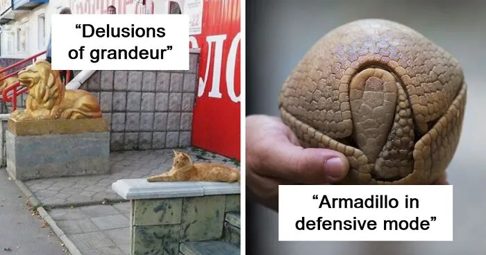 50 Weird Science Posts That Have Been Scientifically Proven To Be Interesting