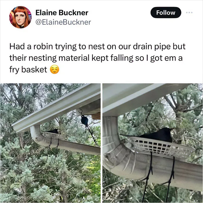 35 Wholesome Memes To Restore Your Faith In Humanity