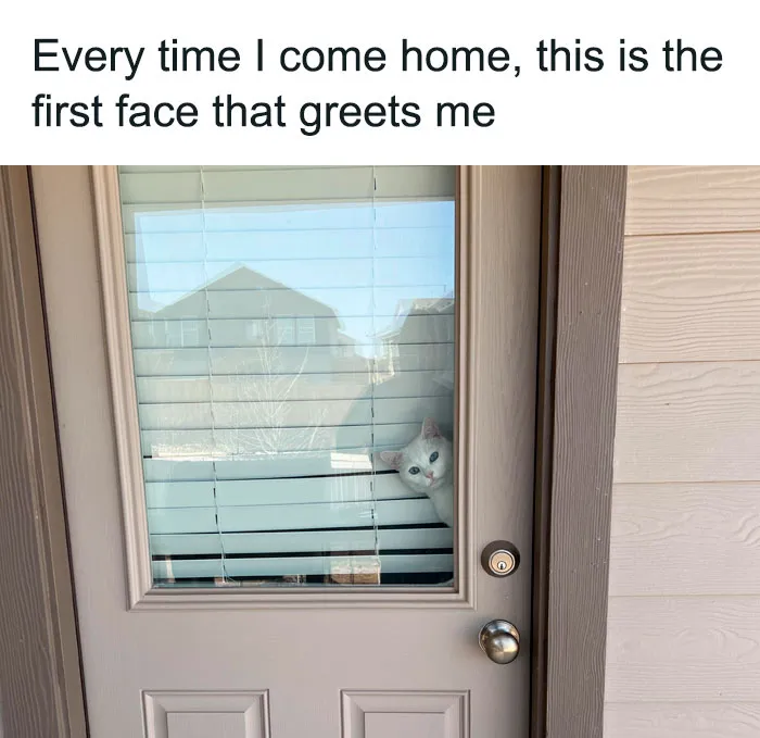50 Posts To Bring Some Happiness And Joy Into Your Life