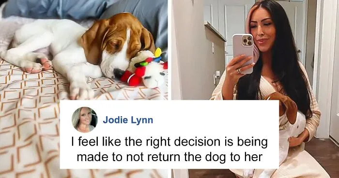 Woman Stunned To Find Her Dog Up For Adoption A Year After She Had Him Put Down