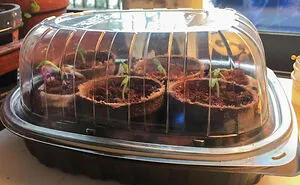 50 Times People Saw Such Creative Zero-Waste Ideas They Just Had To Share