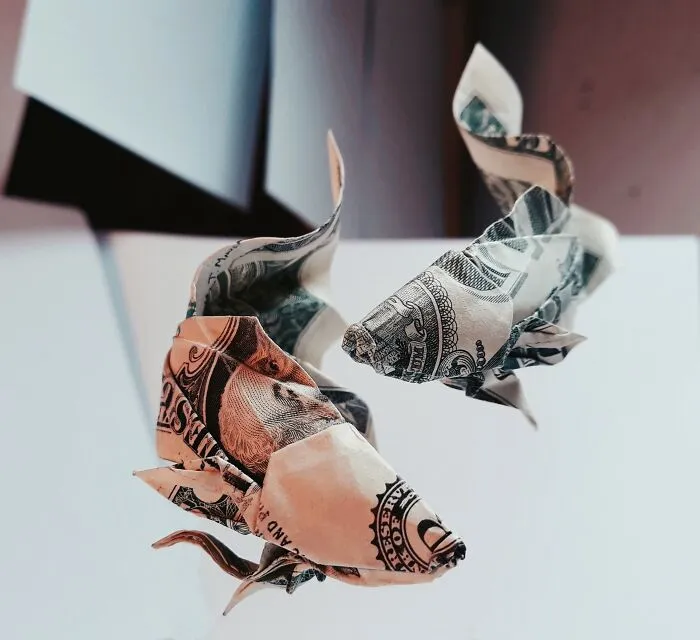 I Make Origami Using Money