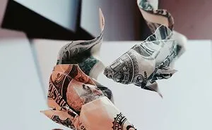 I Make Origami Using Money
