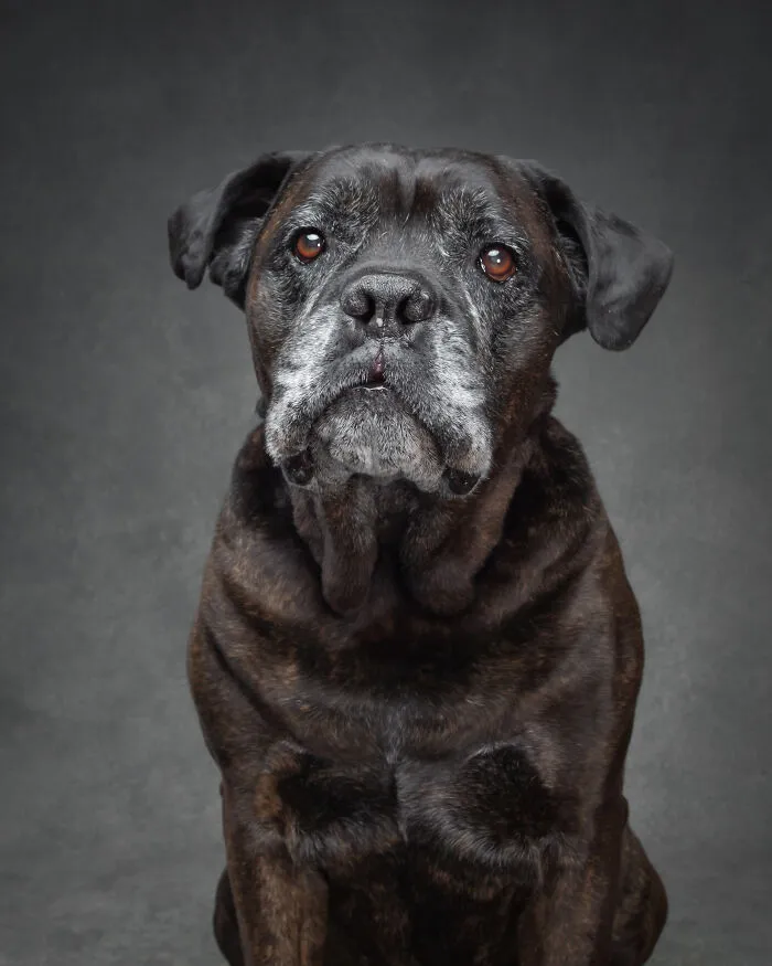 Blue - The Sweetie Pie