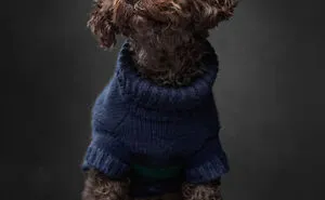 I Interviewed Dogs And Wrote A Book Sharing Their Stories, Here Are 15 Of The Featured Dogs