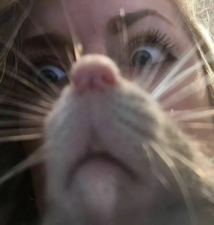 50 Adorable Pics That Might Convince You To Get A Pet Rat