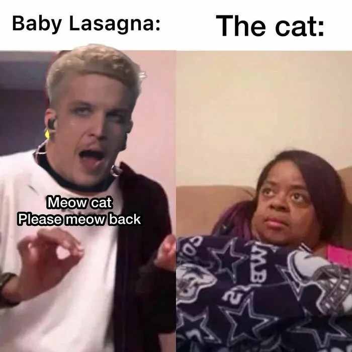 Eurovision 2024 meme features a person saying "Meow cat, please meow back" and woman looking unimpressed.
