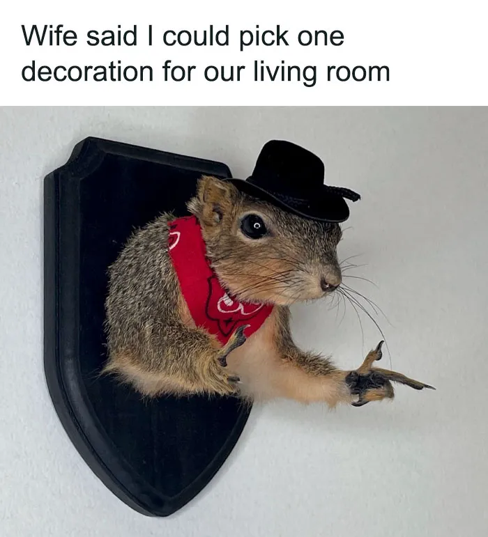 50 Times Thrift Shops Delivered Comedy Gold, As Shared By "Ridiculous Thrifter"