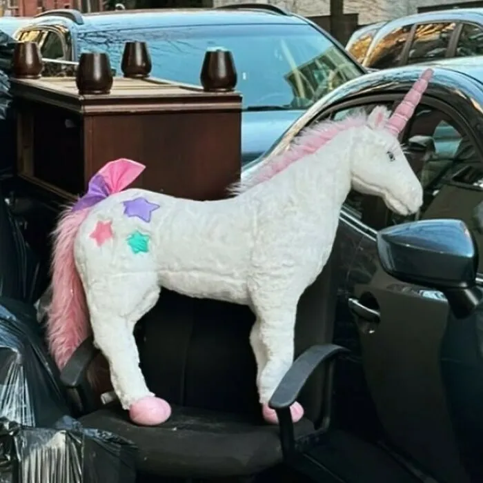 Do You Believe In Unicorns? S 8th Between Berry & Bedford