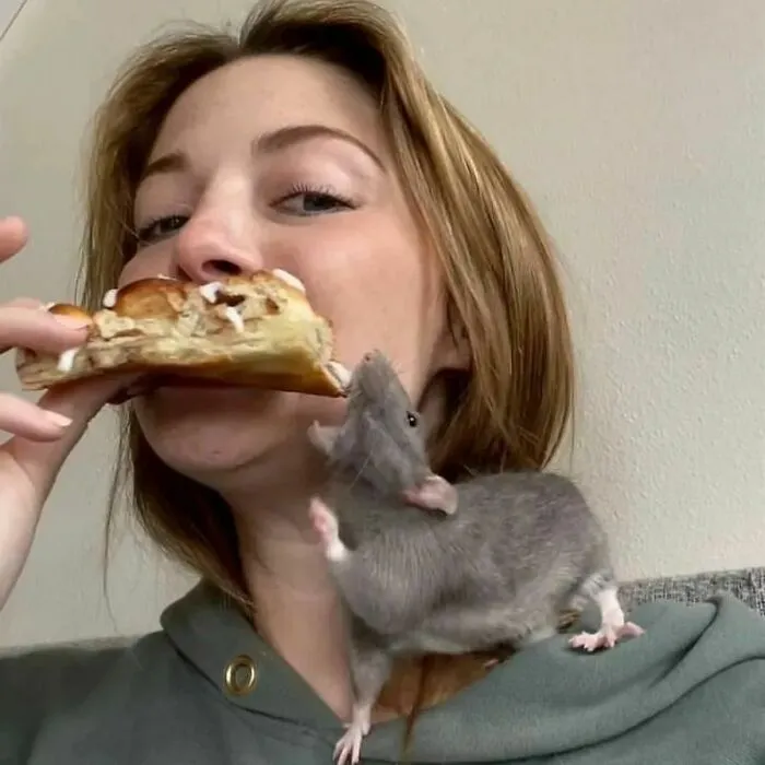 50 Adorable Pics That Might Convince You To Get A Pet Rat