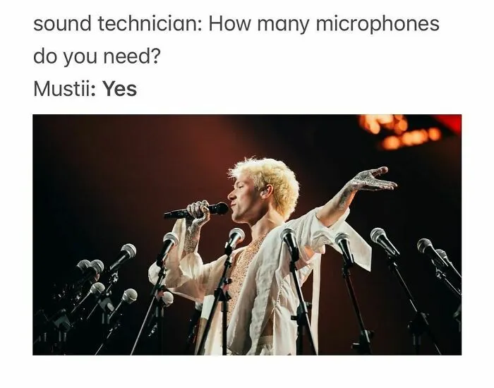 30 Memes And Jokes To Celebrate The Eurovision Song Contest Of 2024